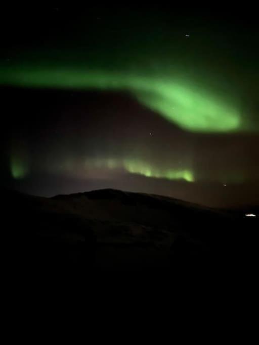 Skjomen Lodge Elvegard Exteriör bild