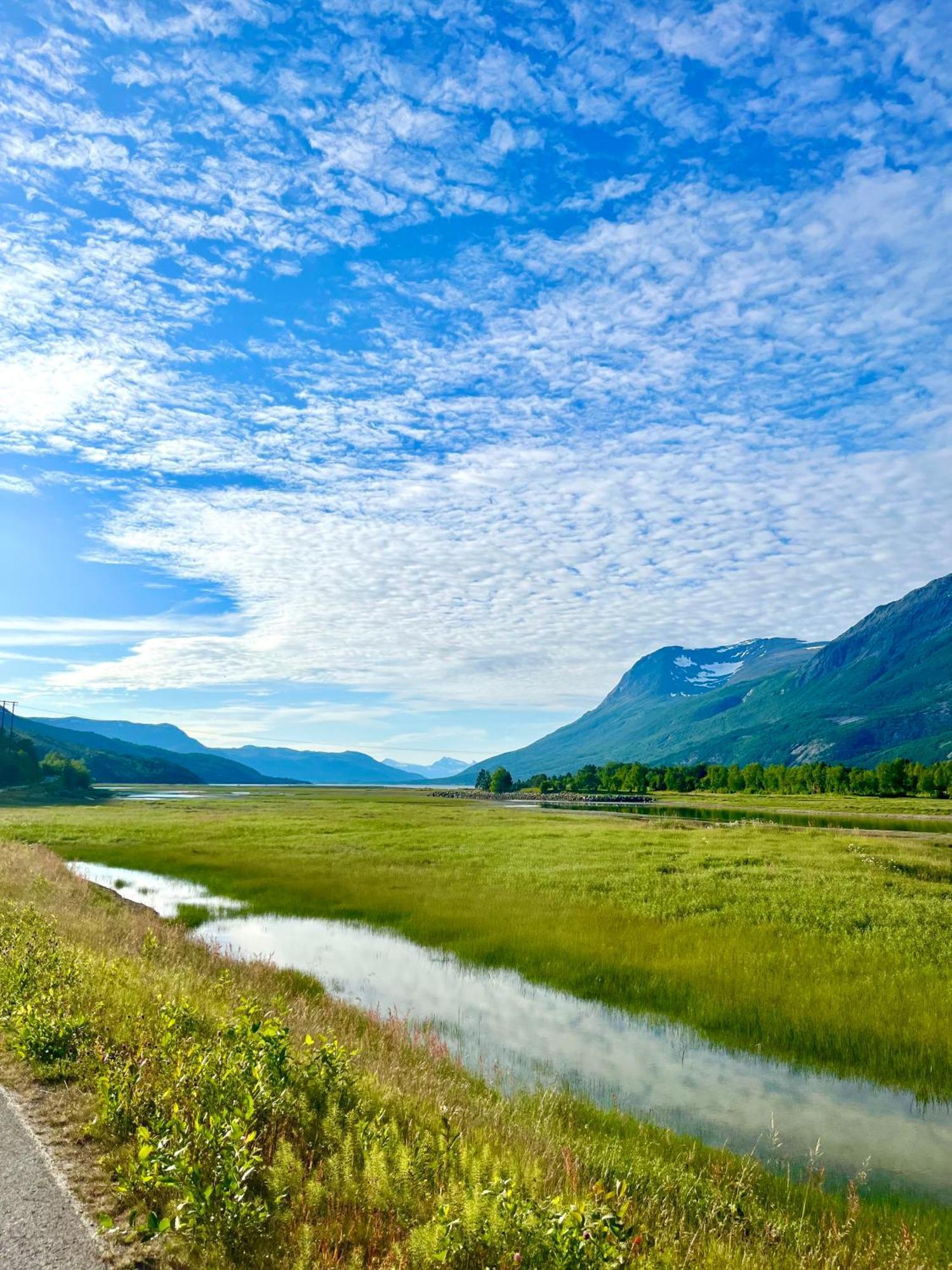 Skjomen Lodge Elvegard Exteriör bild